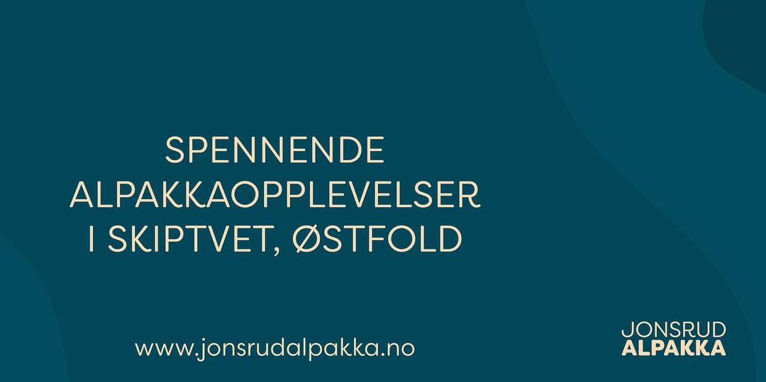 Bilde/illustrasjon om Jonsrud Alpakka