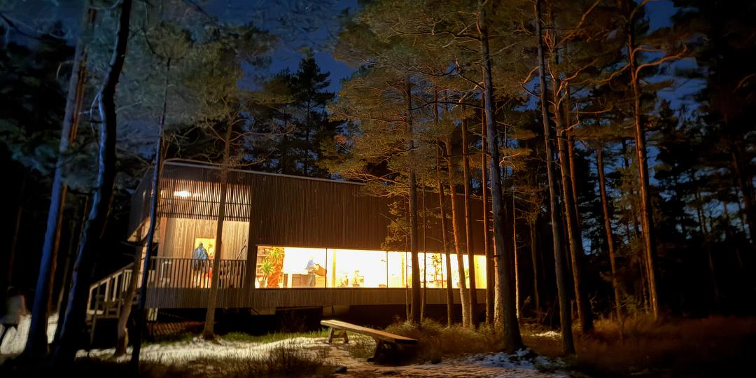 Bilde/illustrasjon for 9 dagers stille meditasjonsretreat retreat i skogen
